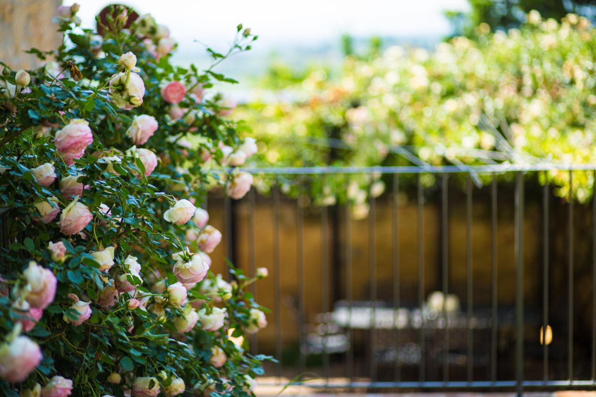 The Tower'S Garden Apartment San Gimignano Bagian luar foto